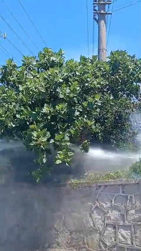 Yangının sebebi şaşırttı! Yüksek gerilim hattına kapıldı, tarlayı alevler sardı - 1. Resim