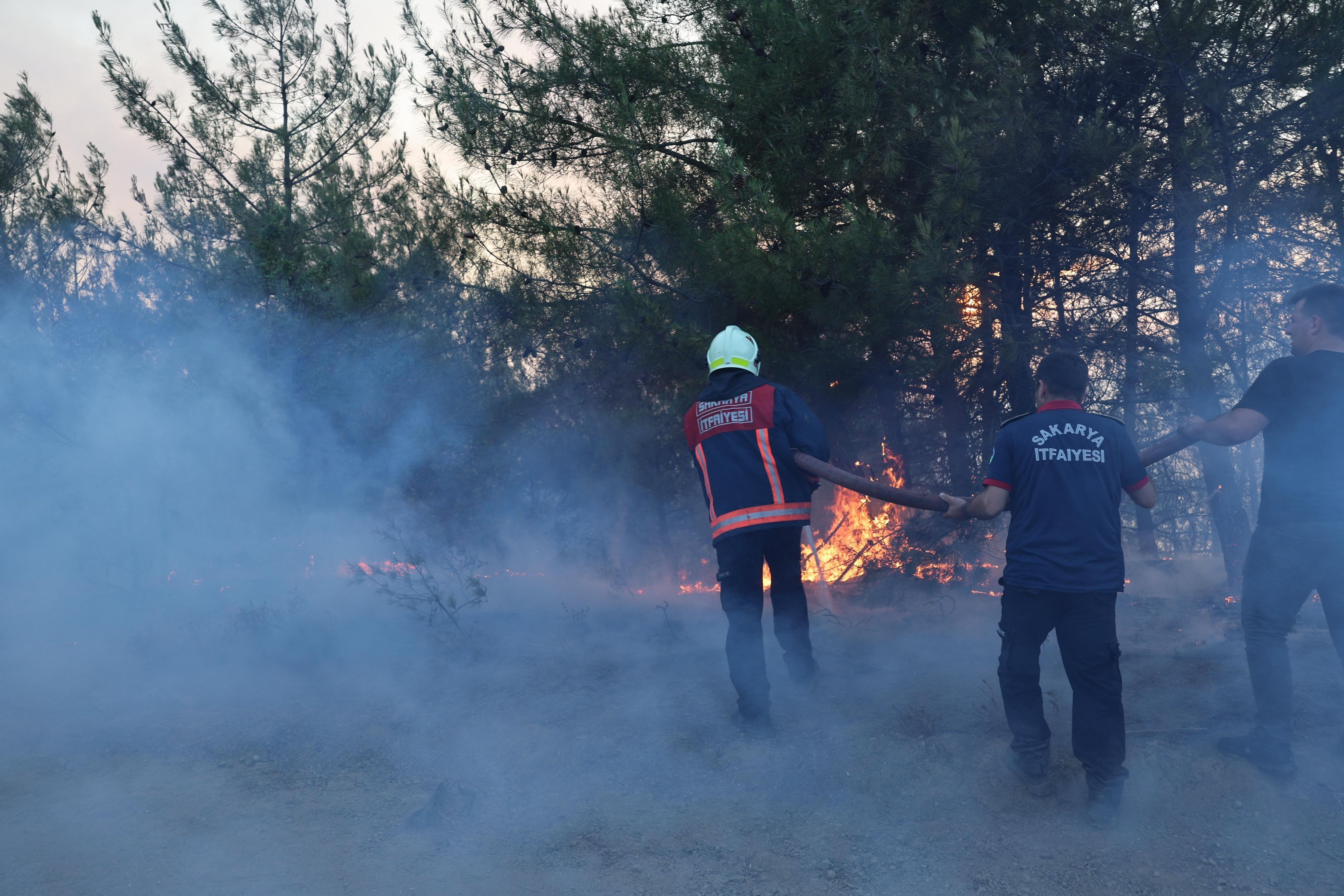 Yüzlerce ormanlık olan ve konut küle dönmüştü: Sakarya'daki yangının nedeni belli oldu! 3 gözaltı var - 2. Resim