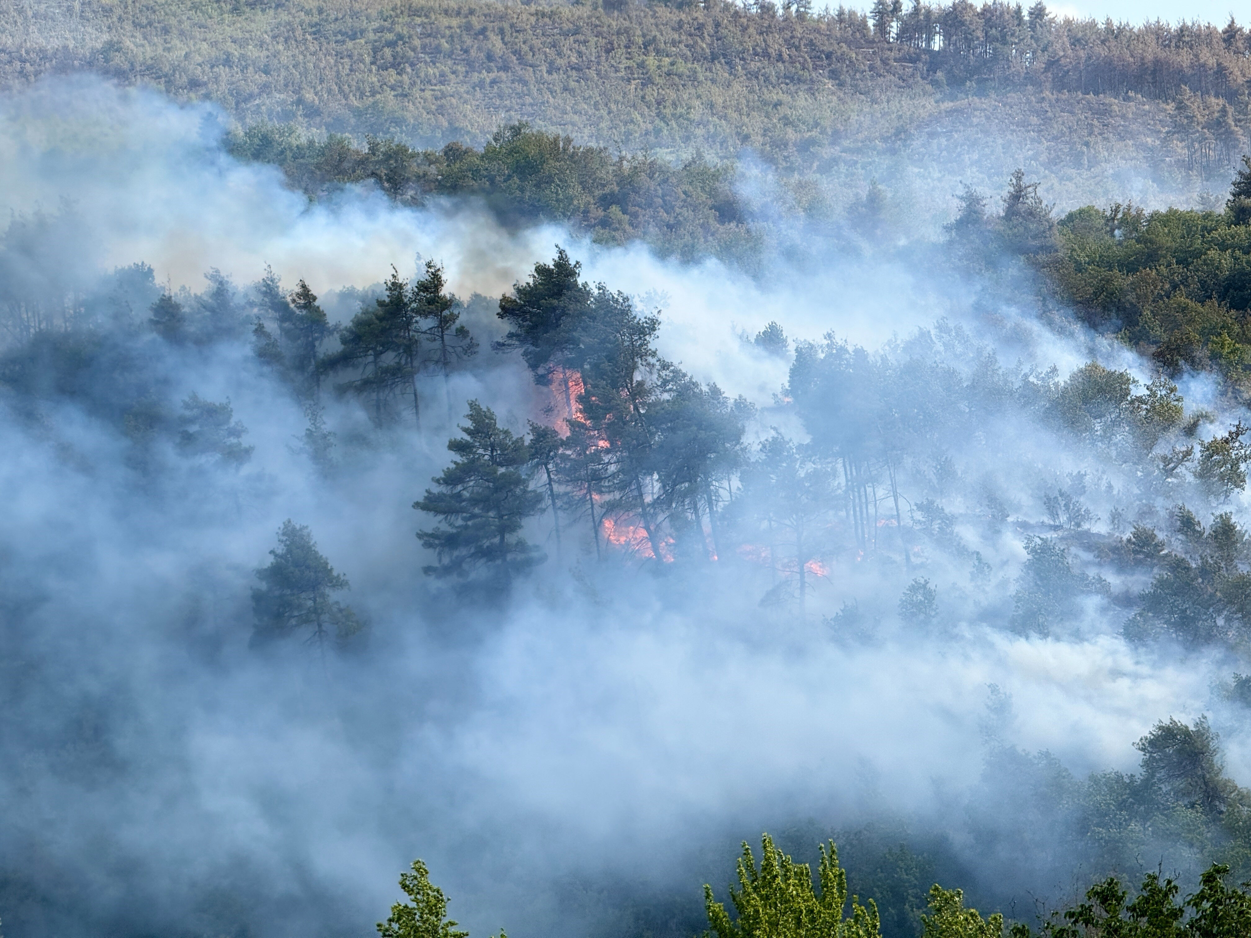 Yüzlerce ormanlık olan ve konut küle dönmüştü: Sakarya'daki yangının nedeni belli oldu! 3 gözaltı var - 1. Resim