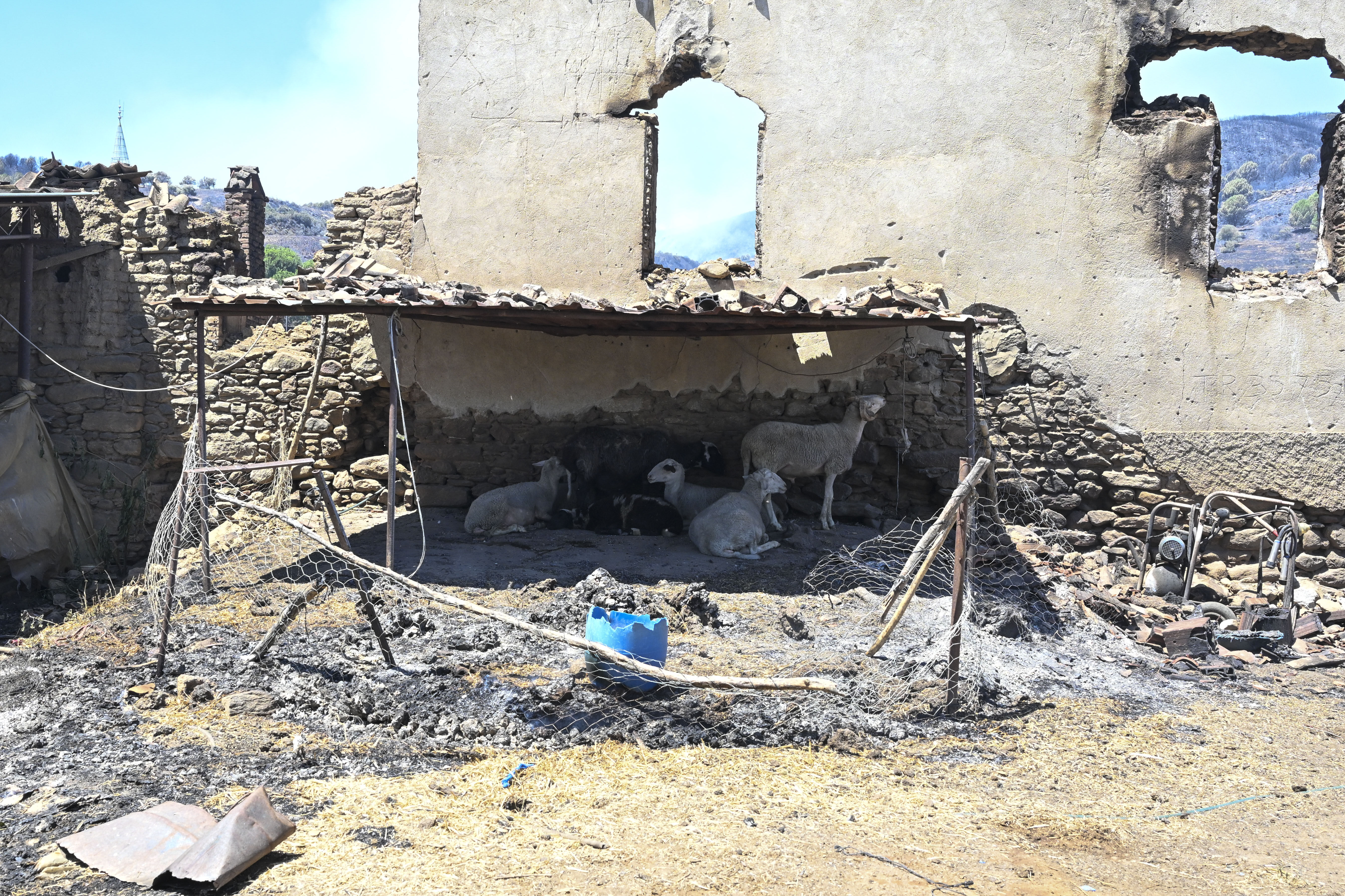 2 saatlik yolu 20 dakikada aldı! Ödemiş'teki kabusu anlattılar: Nereye kaçacağımızı bilemedik - 1. Resim