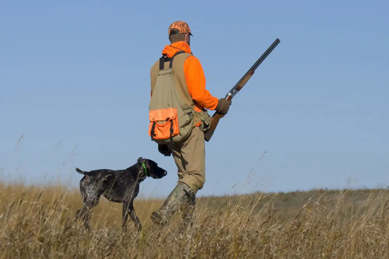 2025-2026 av sezonu ne zaman açılıyor, avcılık belgesi ve av izni nasıl alınır? Avına izin verilen türler ve avlanma tarihleri açıklandı - 1. Resim