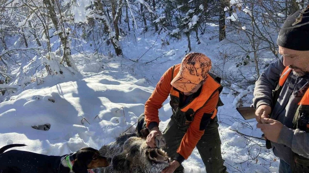 2025-2026 av sezonu ne zaman açılıyor, avcılık belgesi ve av izni nasıl alınır? Avına izin verilen türler ve avlanma tarihleri açıklandı - 2. Resim