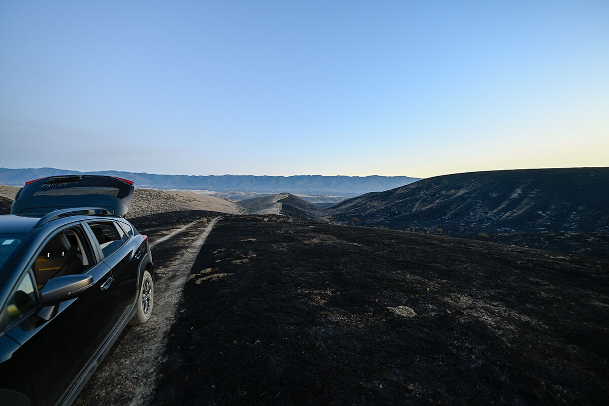 52 bin dönümü kül etti, üç şehre yayıldı! Madre Yangını devam ediyor - 3. Resim