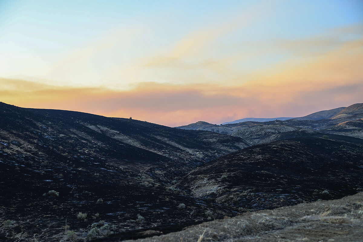 52 bin dönümü kül etti, üç şehre yayıldı! Madre Yangını devam ediyor - 6. Resim