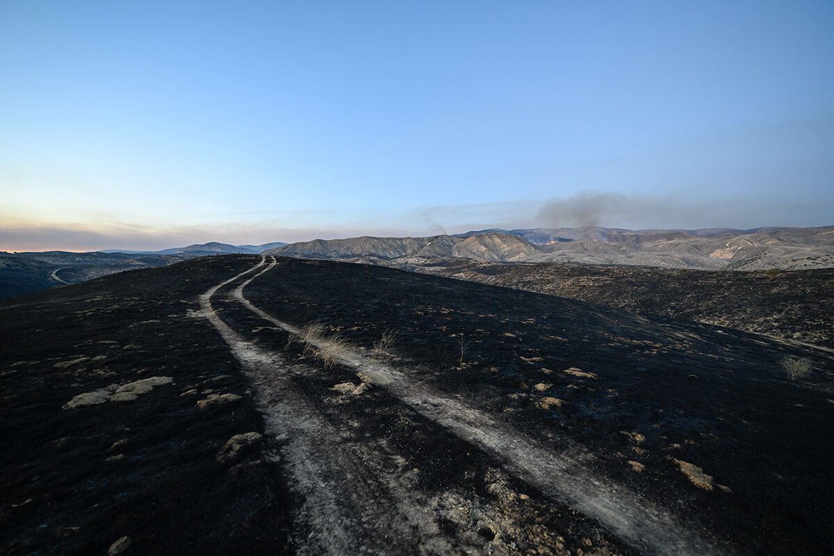 52 bin dönümü kül etti, üç şehre yayıldı! Madre Yangını devam ediyor - 5. Resim