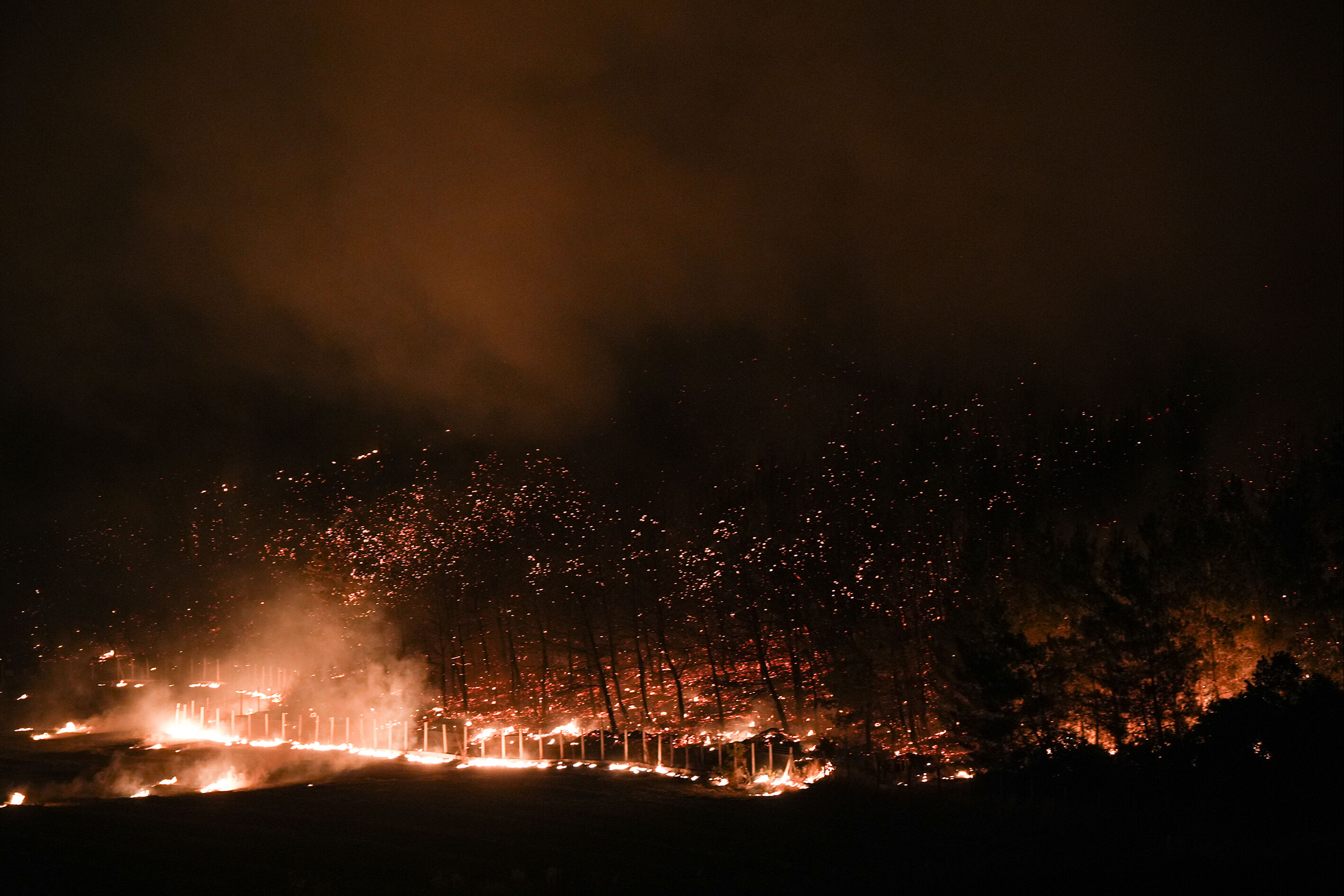 Bakan Göktaş duyurdu: Yangın bölgelerine 12.2 milyon TL acil yardım! - 1. Resim