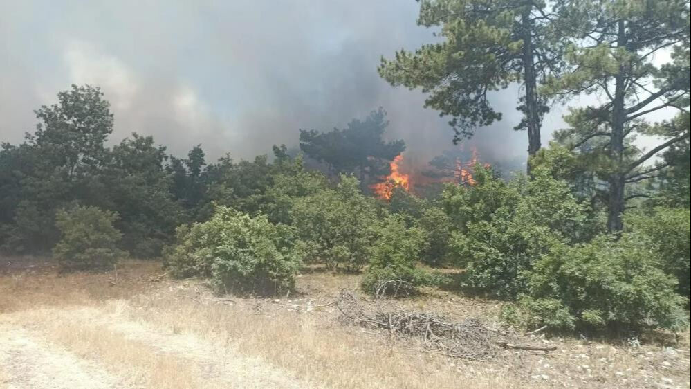 Bir yangın haberi de Eskişehir'den! Çok sayıda ekip müdahale ediyor - 2. Resim