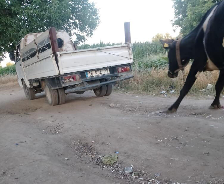 Bursa'da vicdanları sızlatan olay! Metrelerce sürükledi, sopayla dövdü: O anlar kamerada - 1. Resim