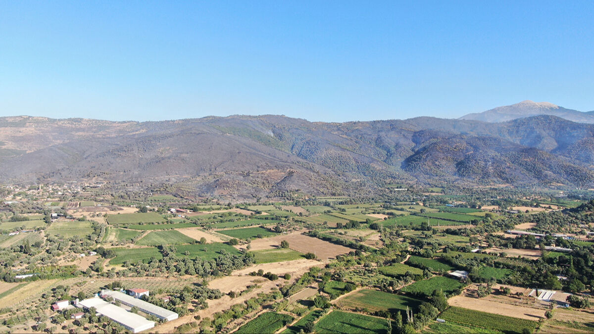 Ciğerleri yakan görüntü ortaya çıktı! Yangın sonrası Ödemiş siyaha büründü, işte son durum - 5. Resim