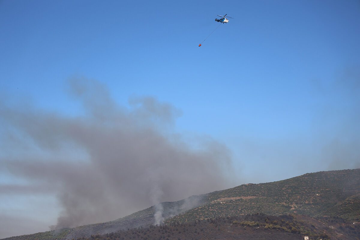 Ciğerleri yakan görüntü ortaya çıktı! Yangın sonrası Ödemiş siyaha büründü, işte son durum - 2. Resim