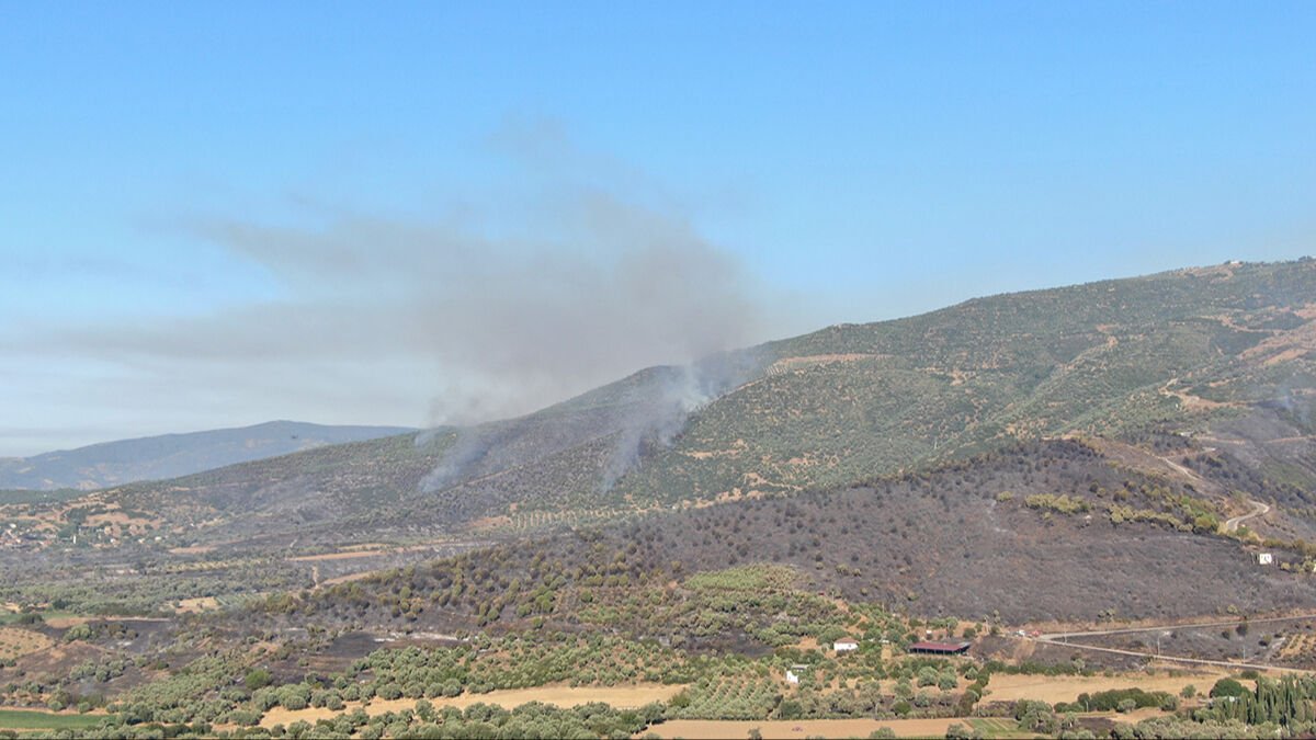 Ciğerleri yakan görüntü ortaya çıktı! Yangın sonrası Ödemiş siyaha büründü, işte son durum - 3. Resim