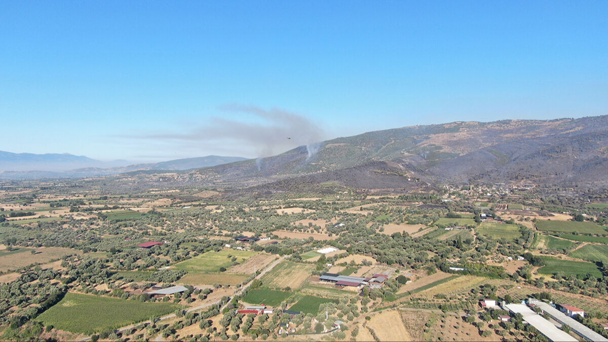 Ciğerleri yakan görüntü ortaya çıktı! Yangın sonrası Ödemiş siyaha büründü, işte son durum - 4. Resim