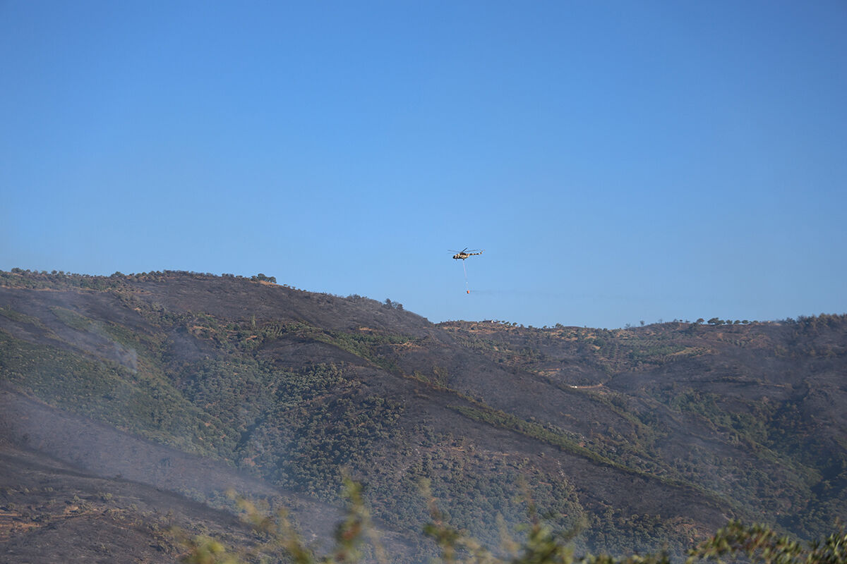 Ciğerleri yakan görüntü ortaya çıktı! Yangın sonrası Ödemiş siyaha büründü, işte son durum - 1. Resim