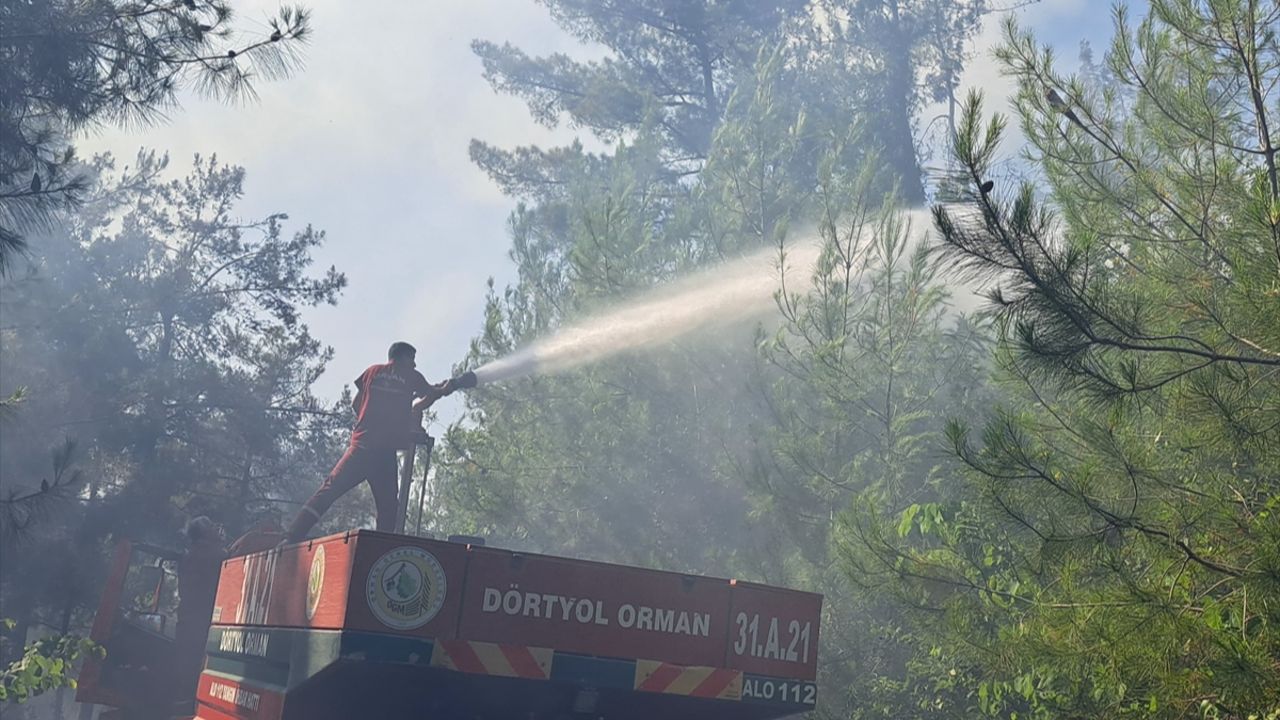 Hatay Dörtyol’da yangın son dakika: Hatay yangını söndü mü, yangının çıkış nedeni nedir? Hatay Dörtyol’da yangın son dakika: Hatay yangını söndü mü, yangının çıkış nedeni nedir?
