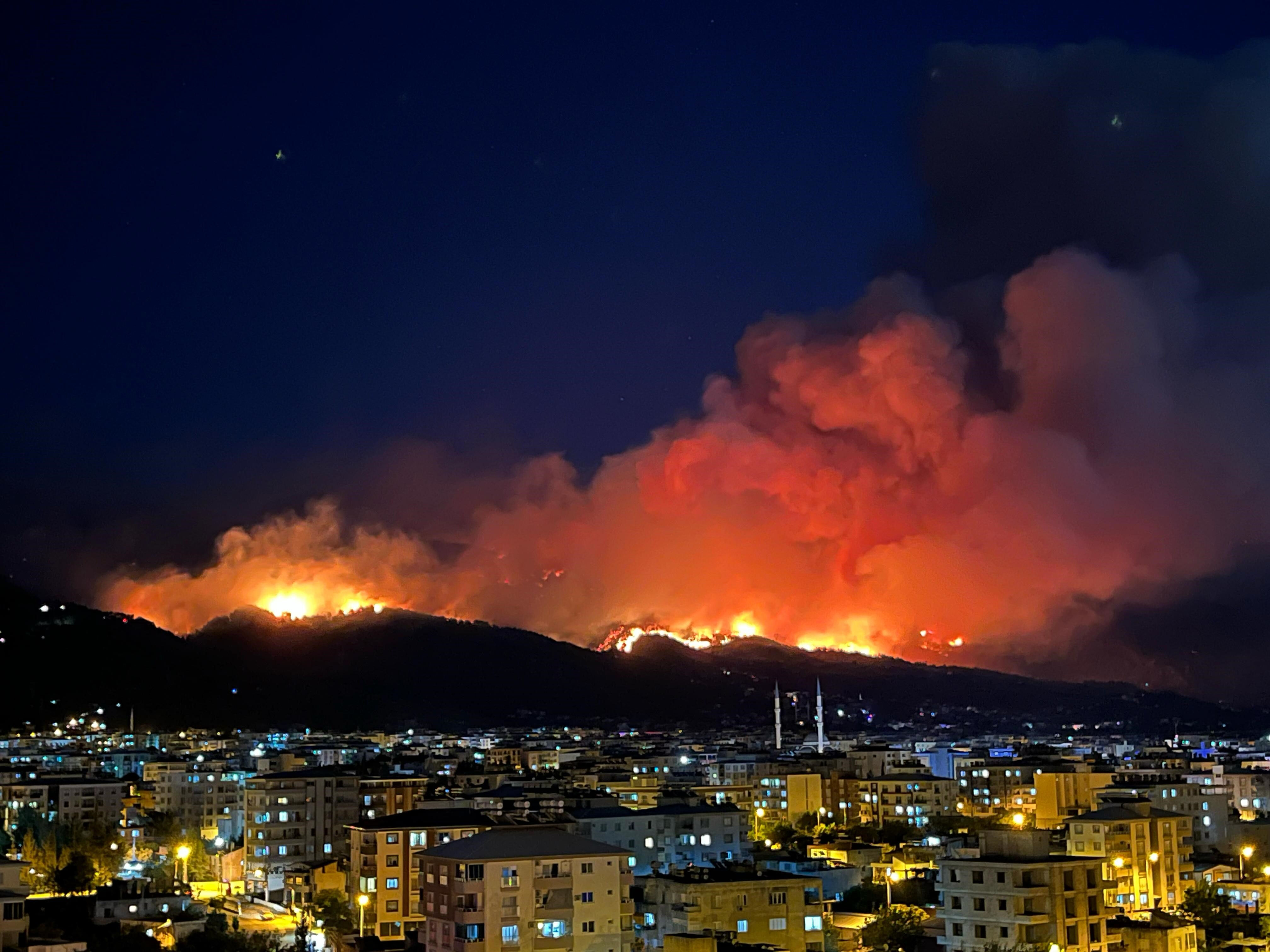 Hatay'da alevler gökyüzünü aydınlattı! Orman kahramanı yarasına aldırış etmedi:
