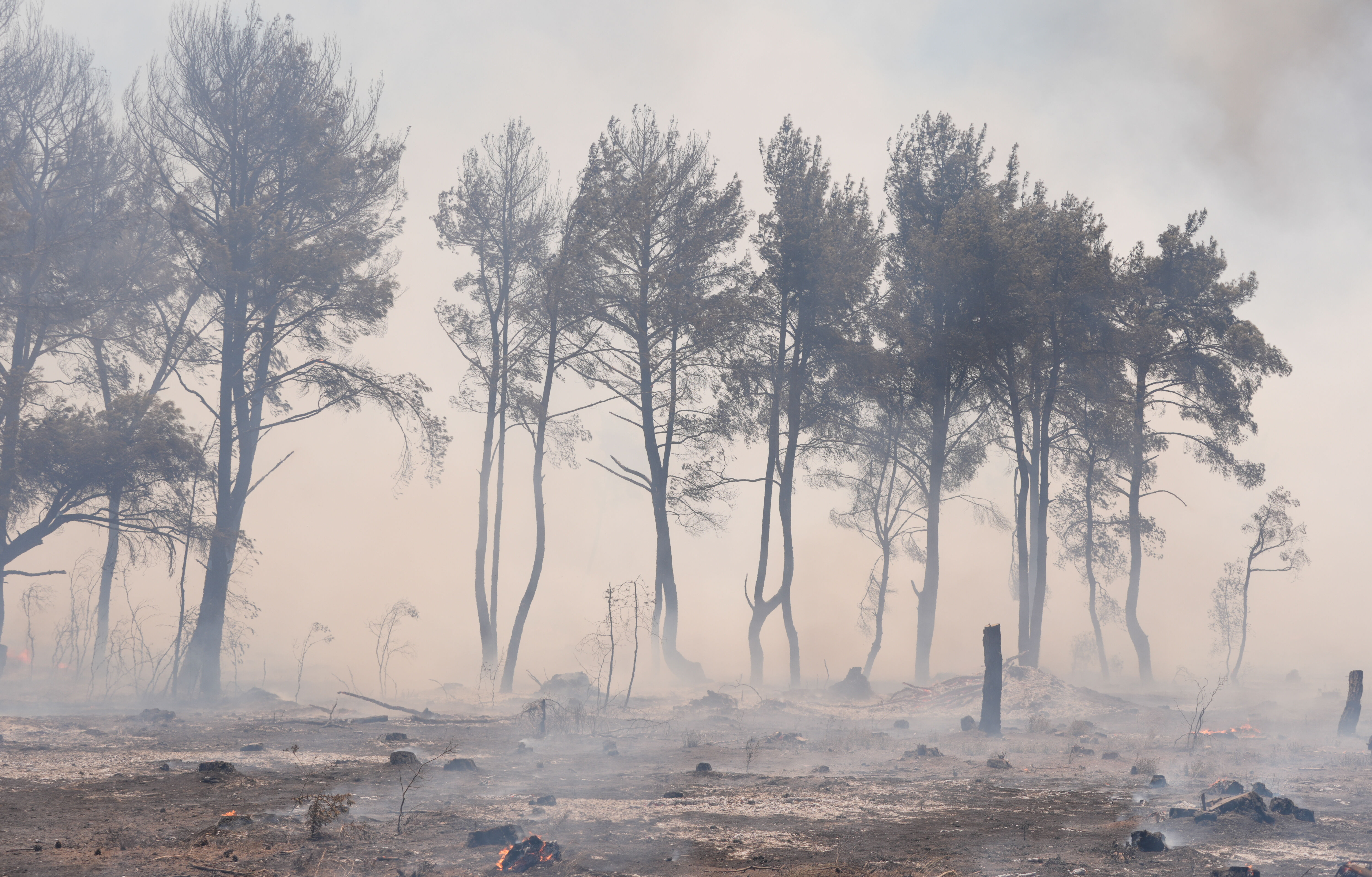 İzmir yangını söndürüldü mü? Orman yangınları son dakika gelişmeleri takip ediliyor! - 3. Resim
