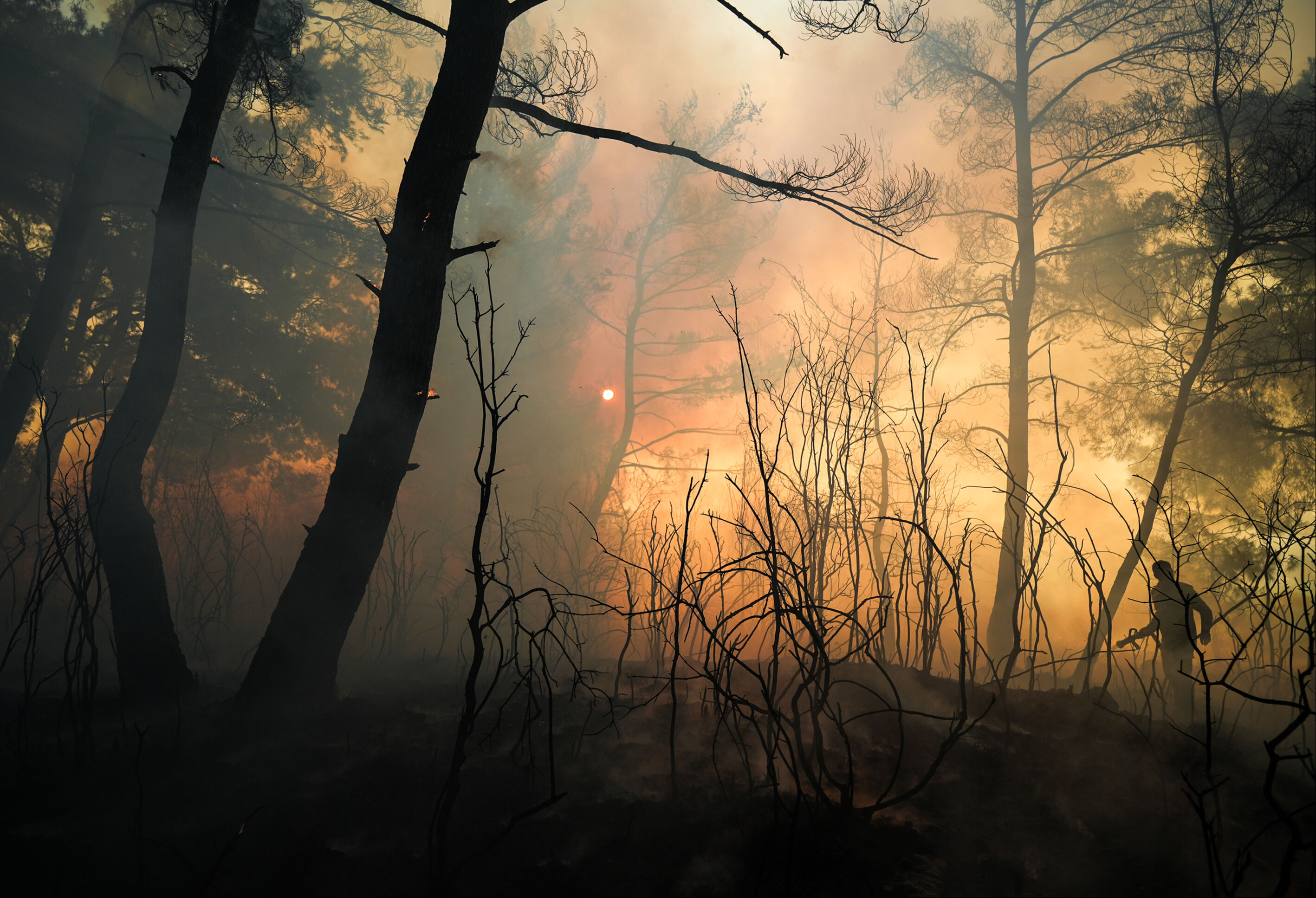 İzmir yangınında son durum... Bakan duyurdu! Çeşme, Buca ve Ödemiş kontrol altında