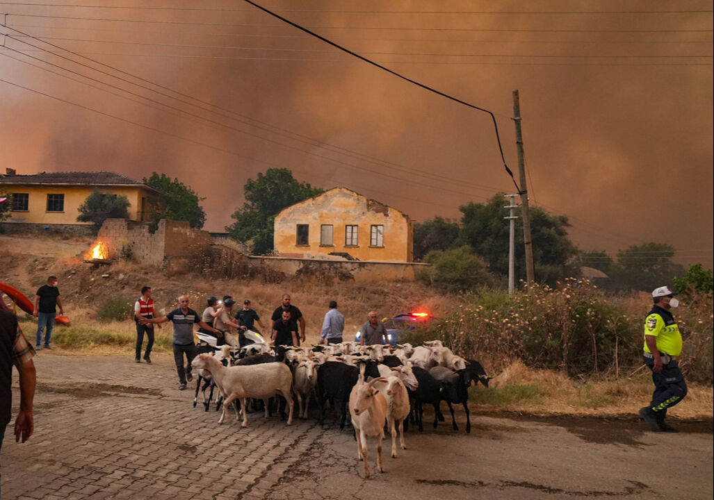 İzmir yangınında son durum... Bakan duyurdu! Çeşme, Buca ve Ödemiş kontrol altında