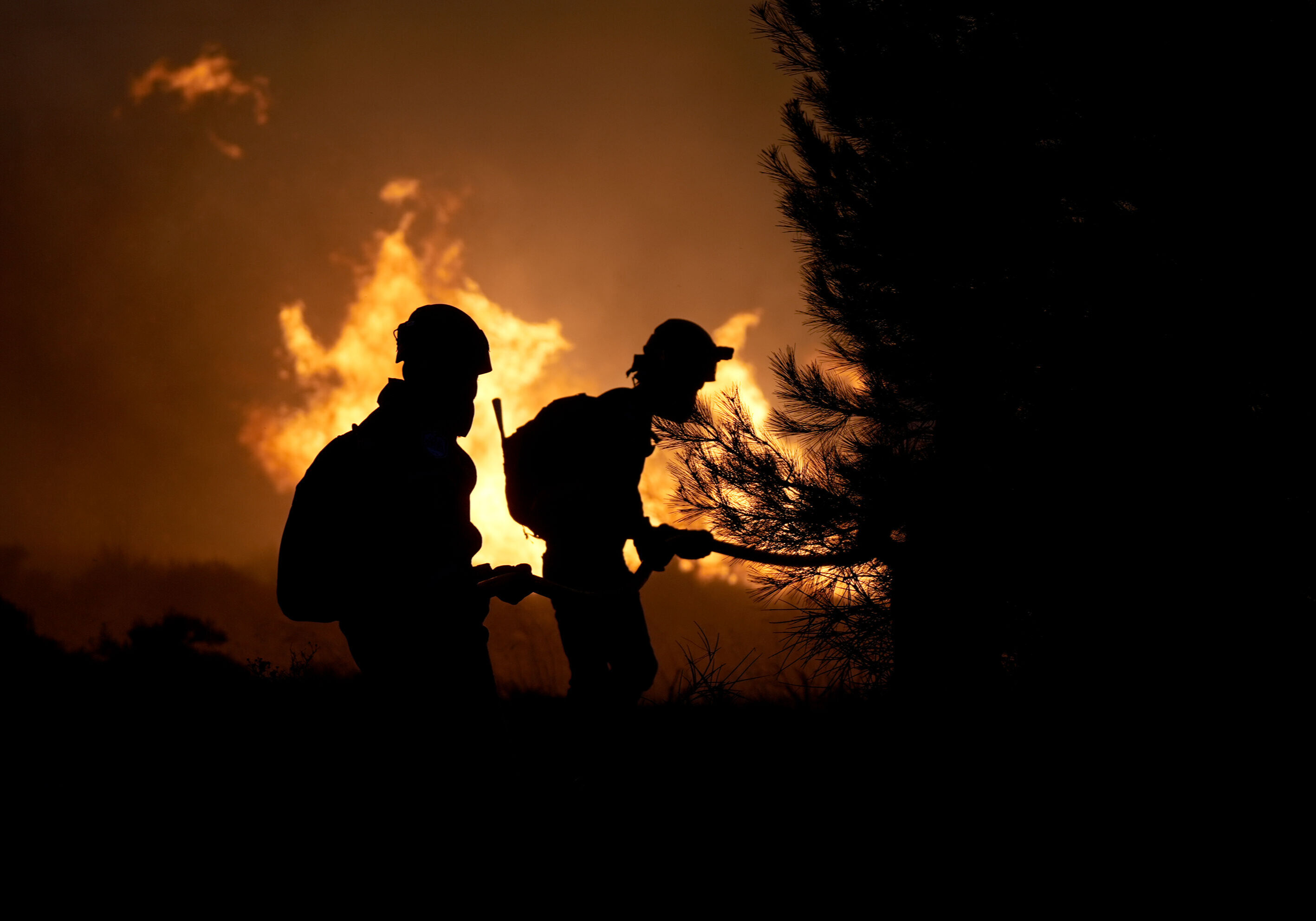 İzmir’de yürek yakan yangın! Bilge Öztürk’ün işletmesi de yandı - 1. Resim