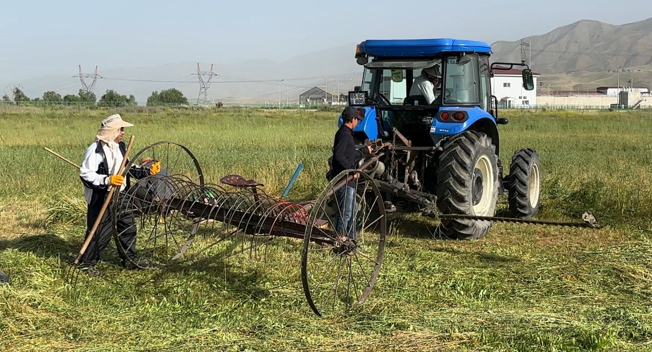 Kızgın güneşte günlük 3 bin ot bağı! O bölgede kış hazırlığı başladı - 3. Resim