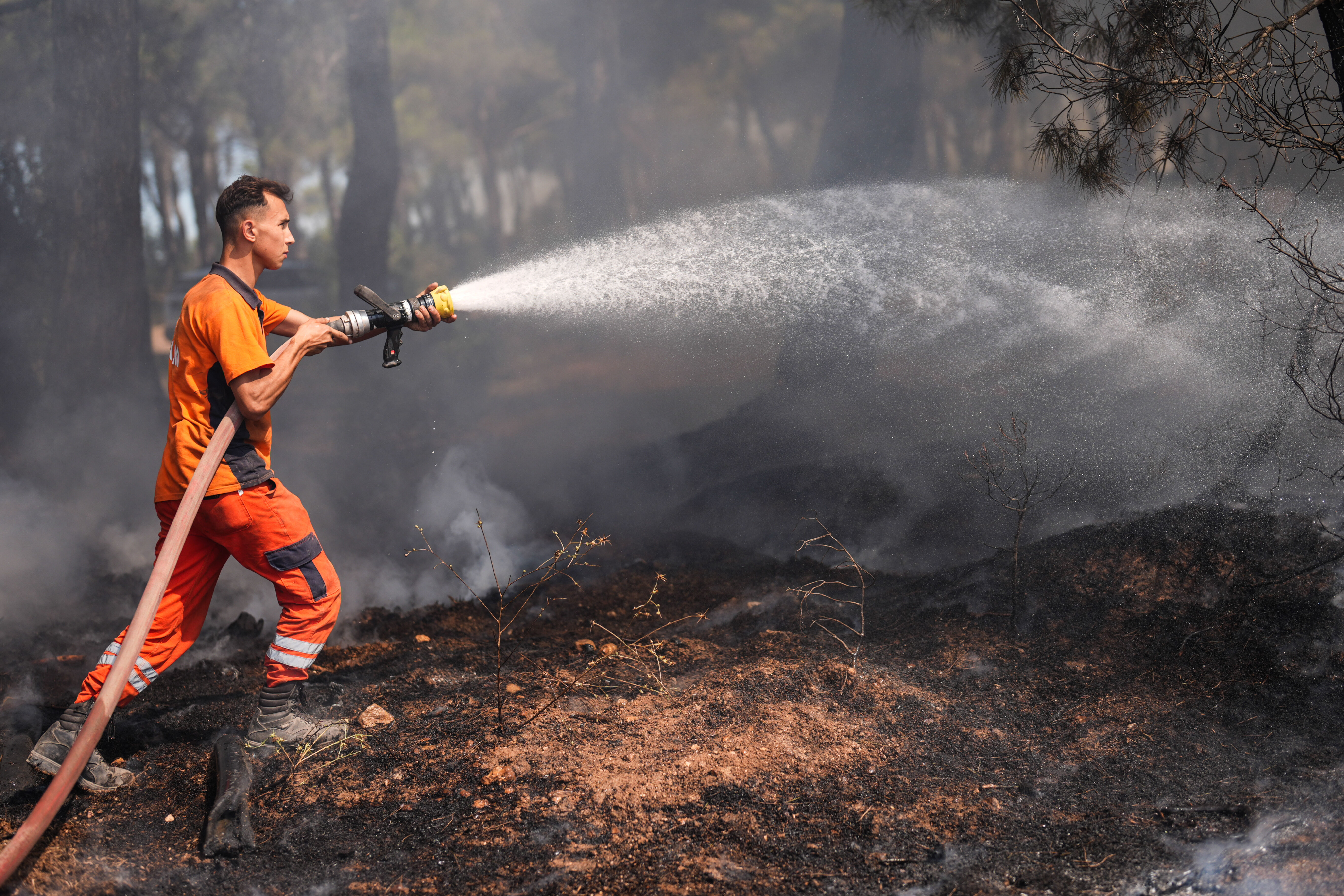 Orman yangınına sebep olana af yok! Bakan Yerlikaya duyurdu: 44 kişi gözaltında 10'u tutuklandı - 6. Resim
