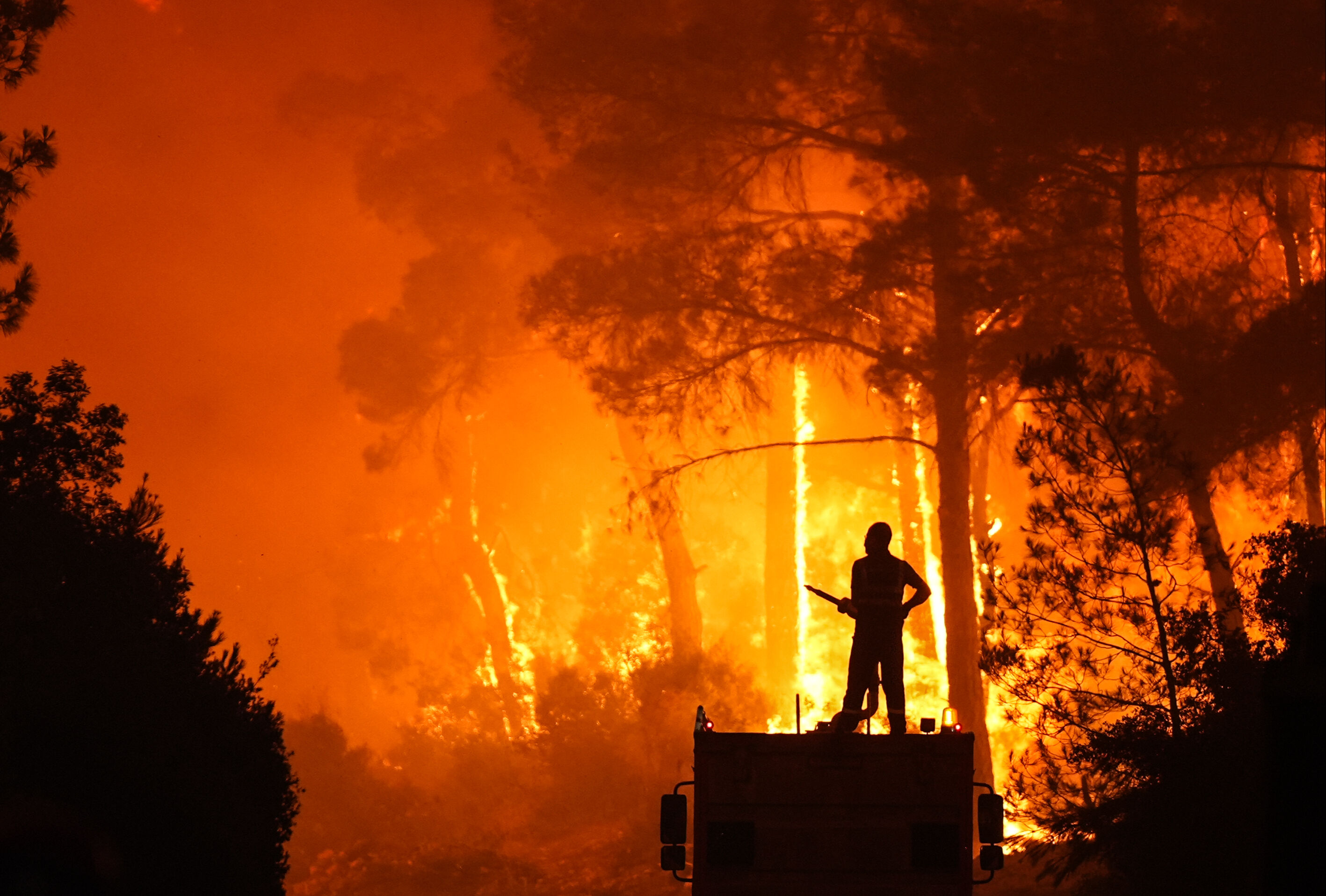 Orman yangınına sebep olana af yok! Bakan Yerlikaya duyurdu: 44 kişi gözaltında 10'u tutuklandı - 4. Resim