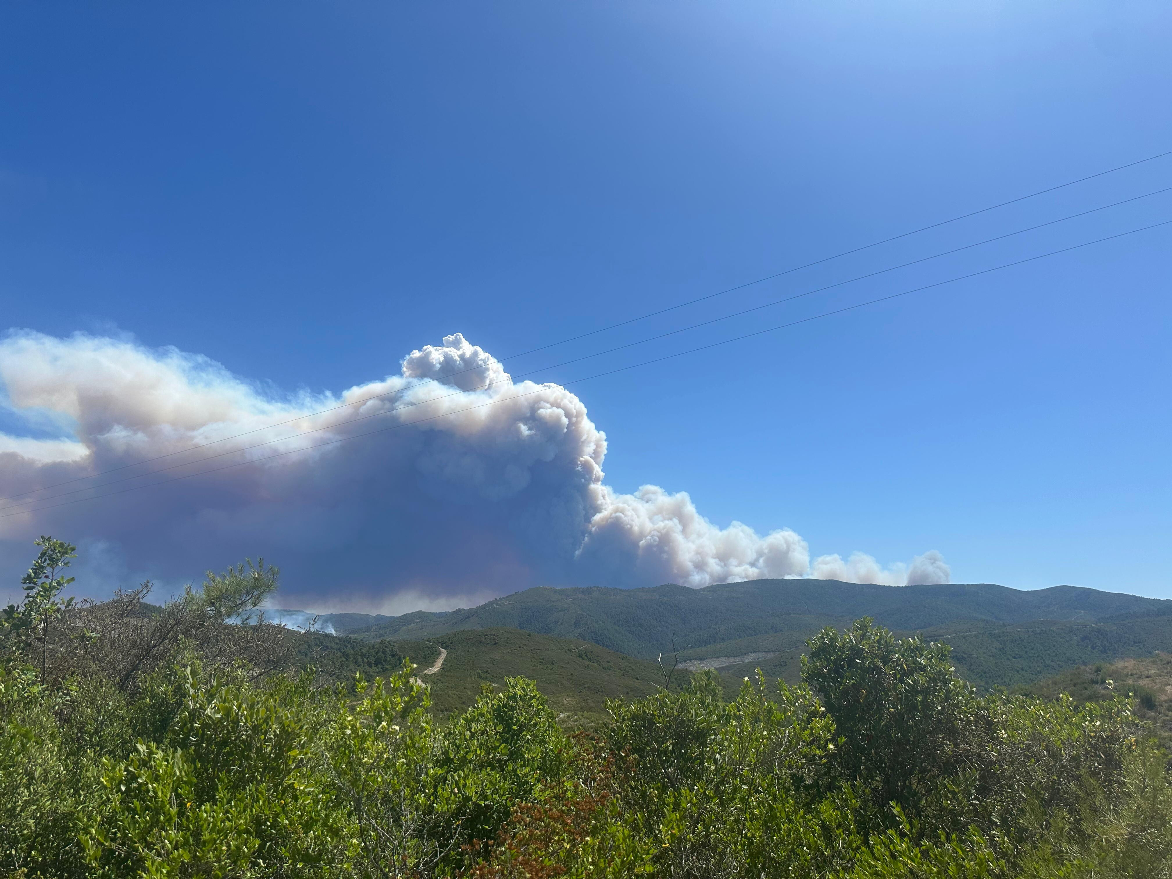 Suriye orman yangını! Alevler yükseliyor - 3. Resim
