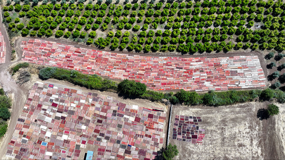 Turistler görmek için akın ediyor! Sıcaklar 40 dereceye ulaştı, tarlalar halıyla kaplandı - 4. Resim