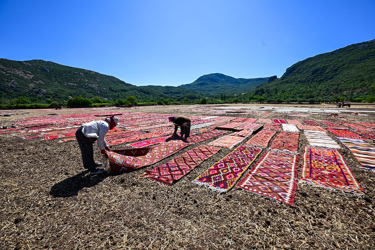 Turistler görmek için akın ediyor! Sıcaklar 40 dereceye ulaştı, tarlalar halıyla kaplandı - 1. Resim