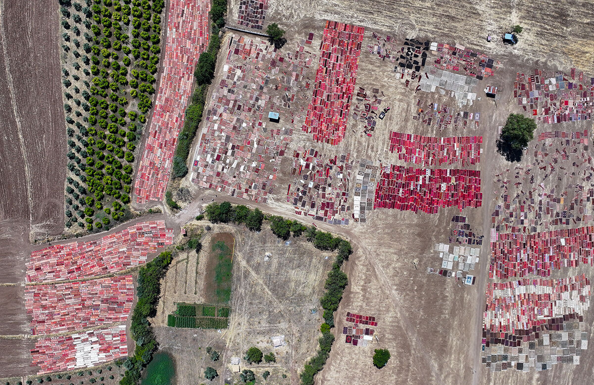 Turistler görmek için akın ediyor! Sıcaklar 40 dereceye ulaştı, tarlalar halıyla kaplandı - 7. Resim