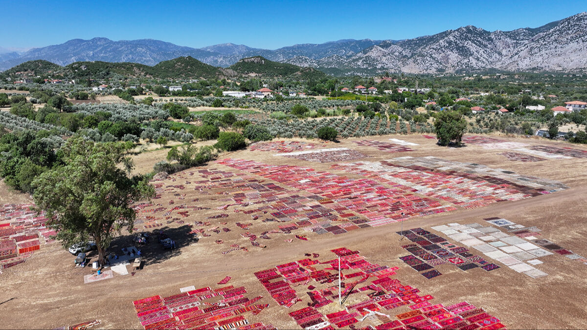 Turistler görmek için akın ediyor! Sıcaklar 40 dereceye ulaştı, tarlalar halıyla kaplandı - 3. Resim