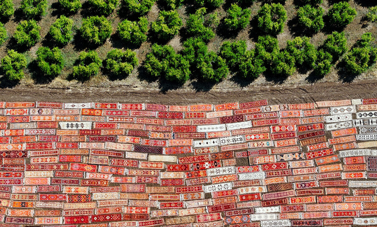 Turistler görmek için akın ediyor! Sıcaklar 40 dereceye ulaştı, tarlalar halıyla kaplandı - 5. Resim