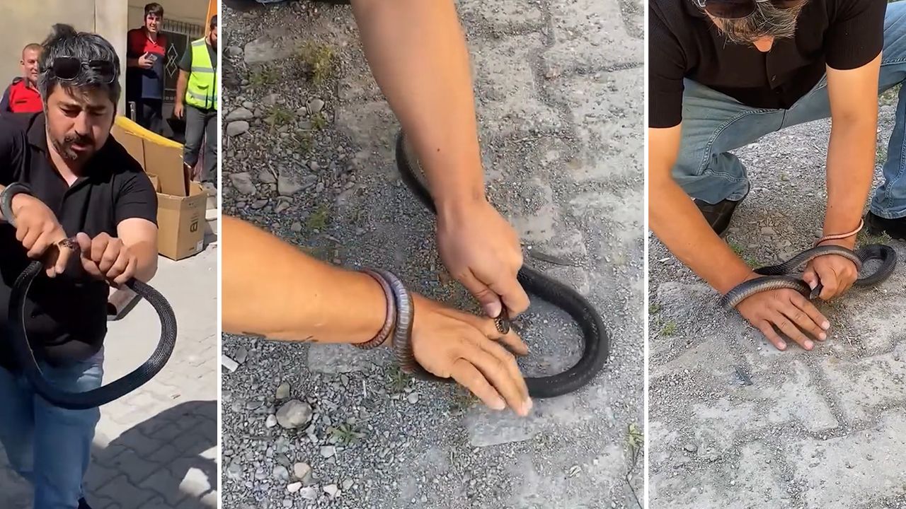 1 metrelik yılana parmağını kaptırdı! 'Yılancı Kemal'in korku dolu anları kamerada 1 metrelik yılana parmağını kaptırdı! 'Yılancı Kemal'in korku dolu anları kamerada