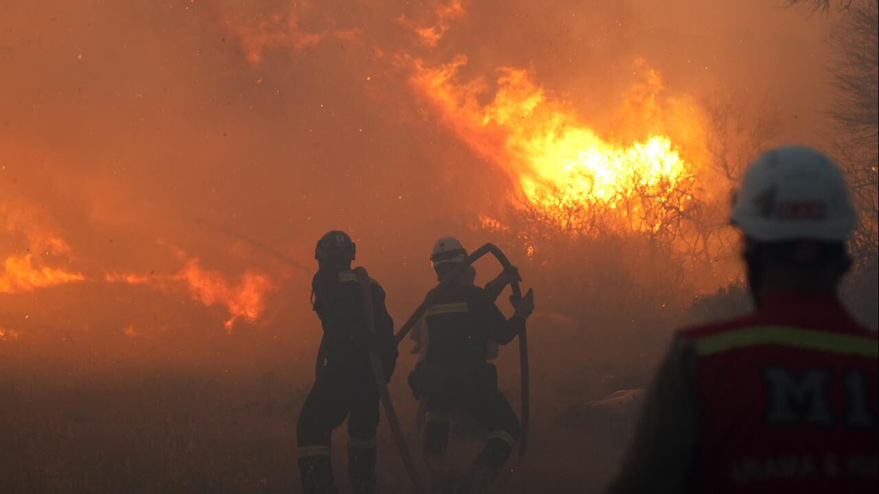 10 bin kişiye istihdam sağlıyor! Yangınlarda zarar görmesin diye sabaha kadar mücadele ettiler - 1. Resim