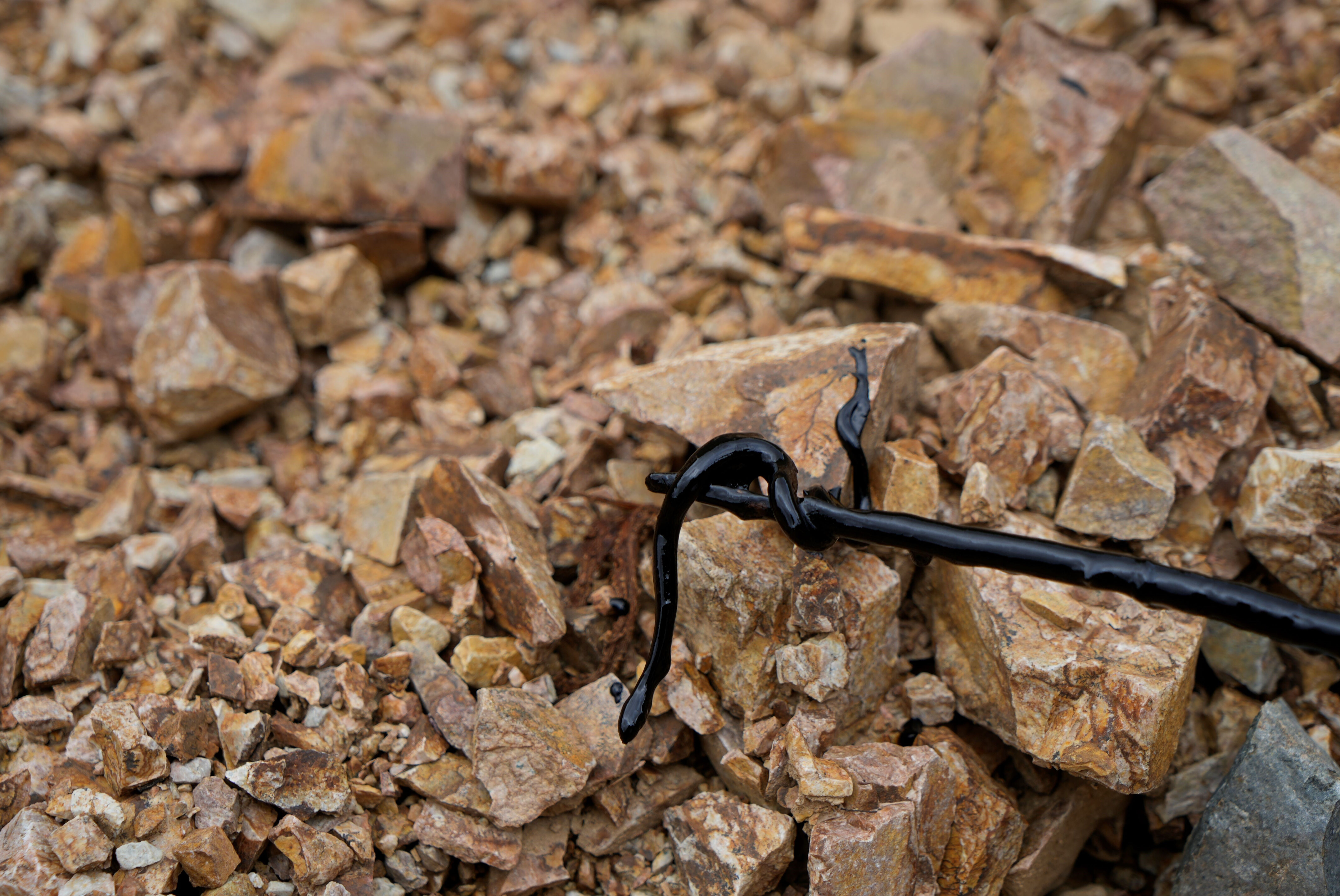 Akaryakıt dereye sızdı! Harşit Çayı siyaha büründü, yavru su yılanı fuel-oile bulandı - 3. Resim