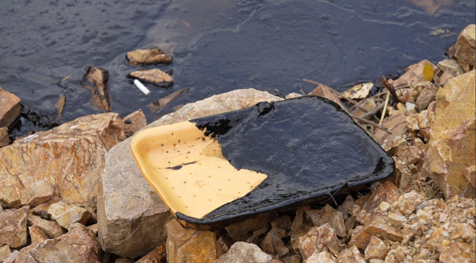 Akaryakıt dereye sızdı! Harşit Çayı siyaha büründü, yavru su yılanı fuel-oile bulandı - 2. Resim