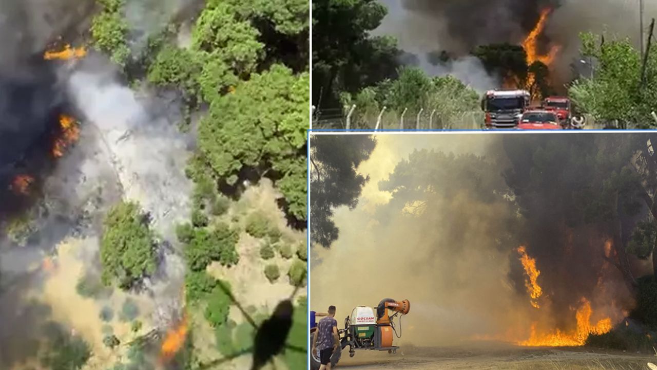 Antalya'nın Muratpaşa ilçesinde neden yangın çıktı? 2 gün önce yanan orman, bugün yeniden alevler içinde kaldı Antalya'nın Muratpaşa ilçesinde neden yangın çıktı? 2 gün önce yanan orman, bugün yeniden alevler içinde kaldı