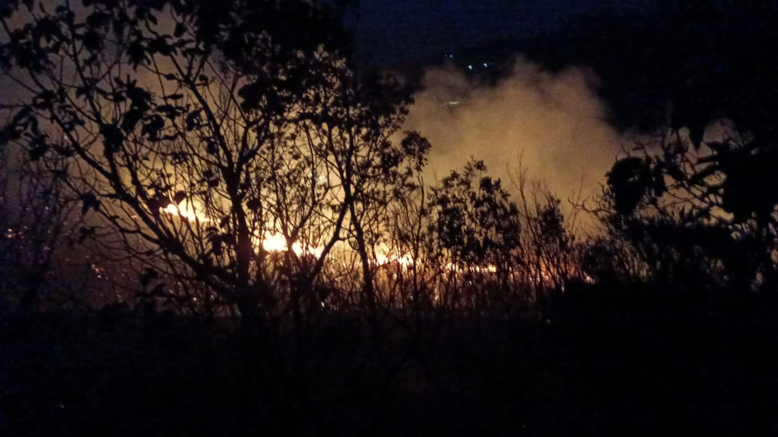Bakan İbrahim Yumaklı açıkladı! Orman yangınlarında son durum - 2. Resim