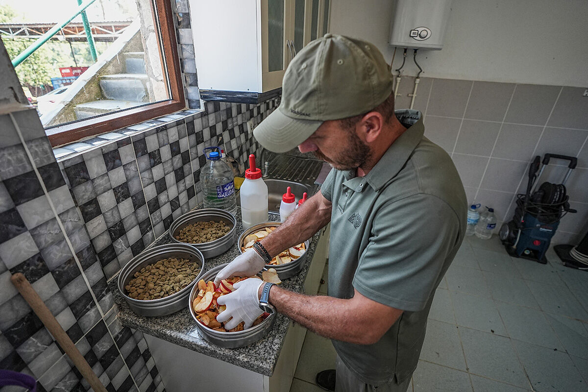 Biberonla beslenen bebek ayılar görenlerin içini ısıttı: Arazide bulundular, 8 öğün besleniyorlar! - 3. Resim