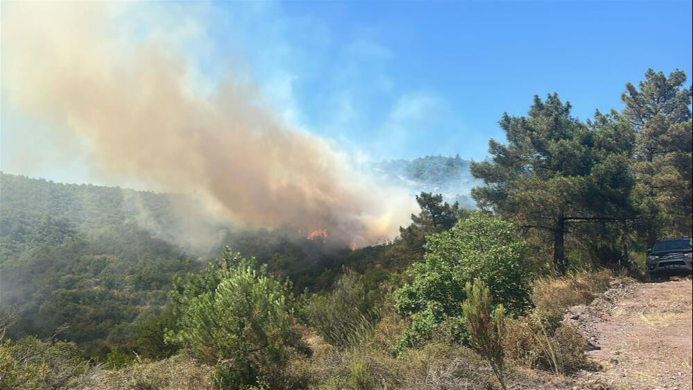 Bursa'daki orman yangınının sebebi pes dedirtti! Tutuklama ve çok sayıda gözaltı var - 4. Resim