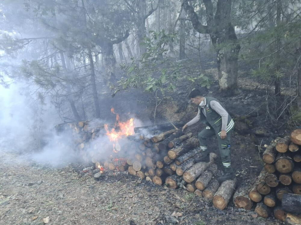 Bursa'daki orman yangınının sebebi pes dedirtti! Tutuklama ve çok sayıda gözaltı var - 3. Resim