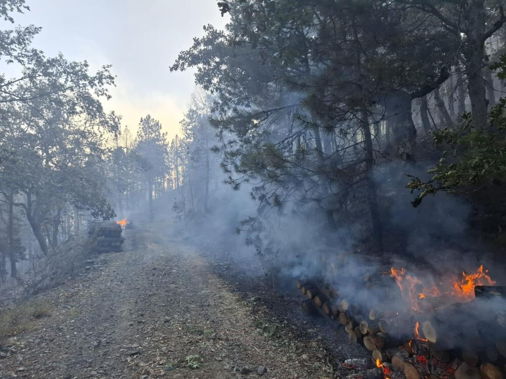 Bursa'daki orman yangınının sebebi pes dedirtti! Tutuklama ve çok sayıda gözaltı var - 1. Resim