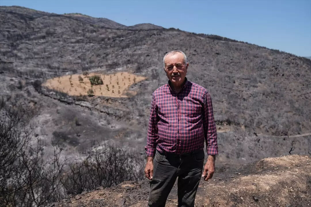 Etrafı küle döndü, ama alevler uğramadı! İzmir'deki yangından bir tek orası etkilenmedi - 3. Resim