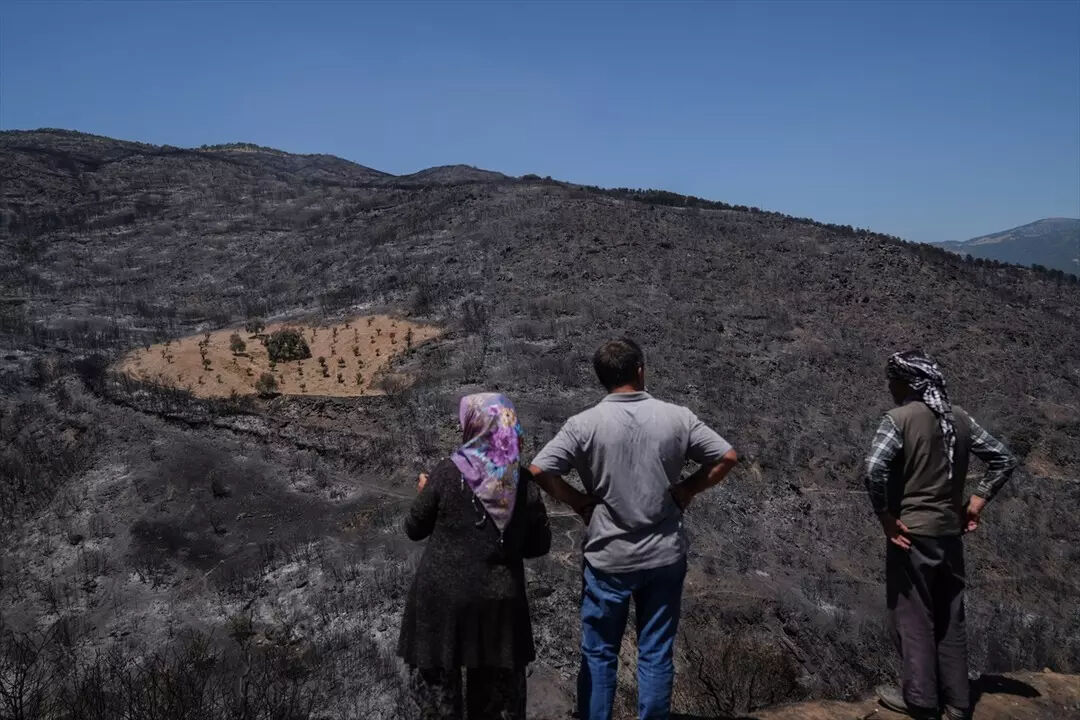Etrafı küle döndü, ama alevler uğramadı! İzmir'deki yangından bir tek orası etkilenmedi - 2. Resim