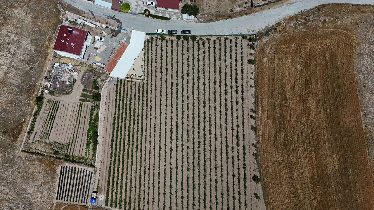 Hobi olarak başladı, şimdi siparişlere yetişemiyor! Resmen para basıyor - 1. Resim