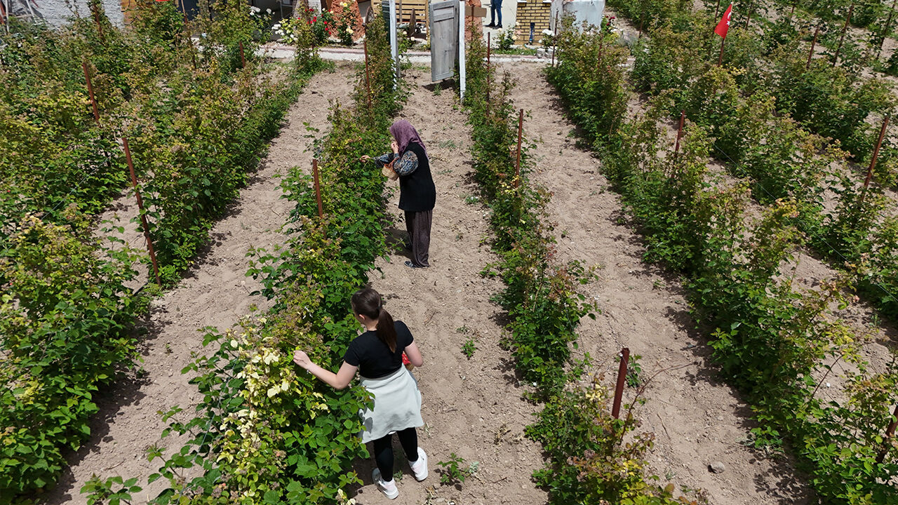 Hobi olarak başladı, şimdi siparişlere yetişemiyor! Resmen para basıyor - 2. Resim