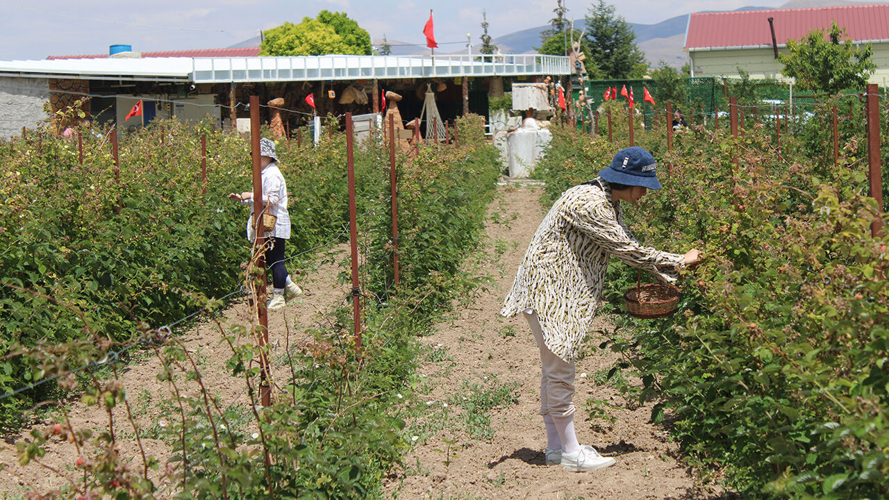 Hobi olarak başladı, şimdi siparişlere yetişemiyor! Resmen para basıyor - 3. Resim