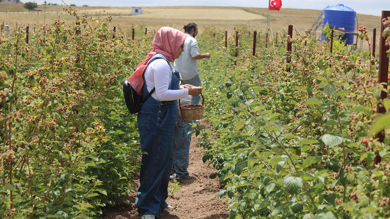 Hobi olarak başladı, şimdi siparişlere yetişemiyor! Resmen para basıyor - 6. Resim