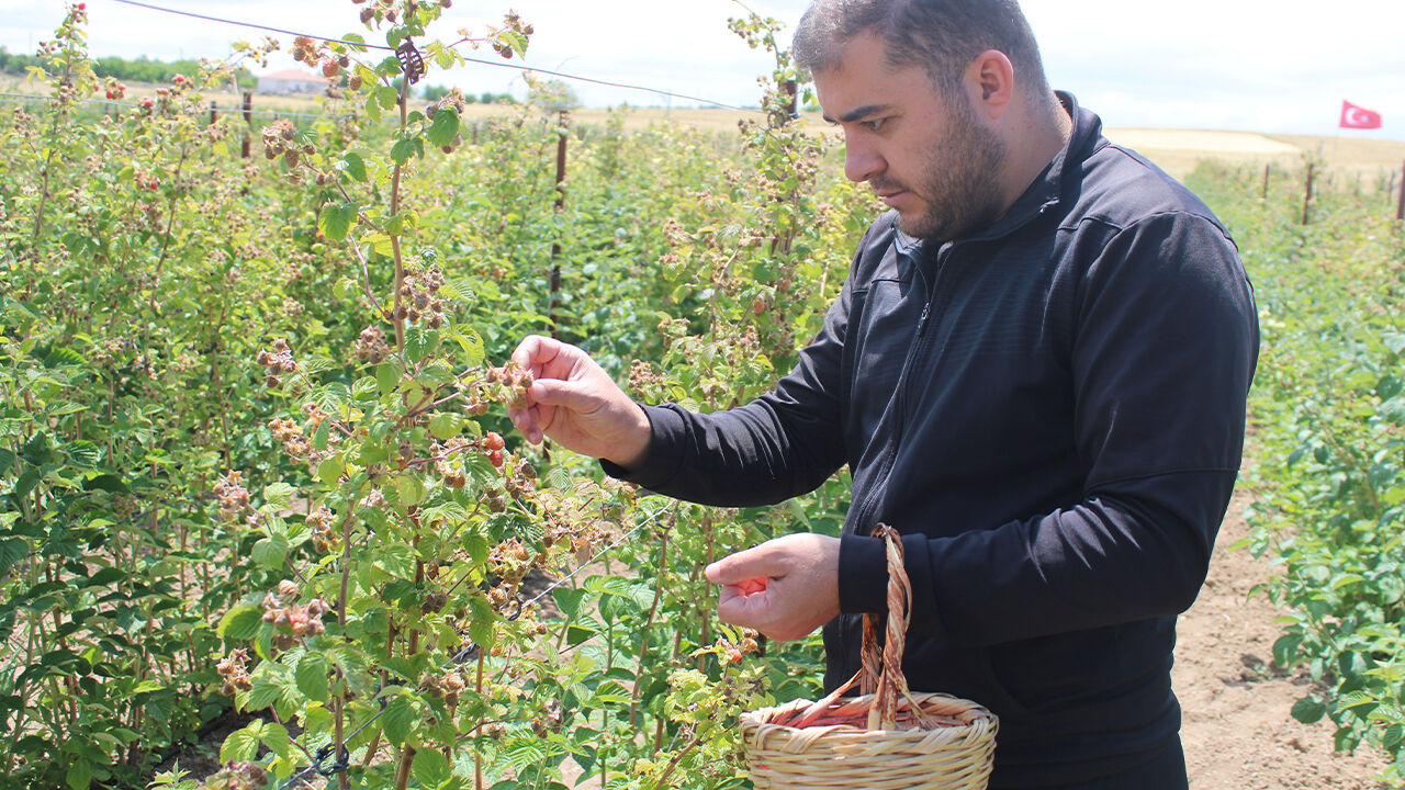 Hobi olarak başladı, şimdi siparişlere yetişemiyor! Resmen para basıyor - 4. Resim