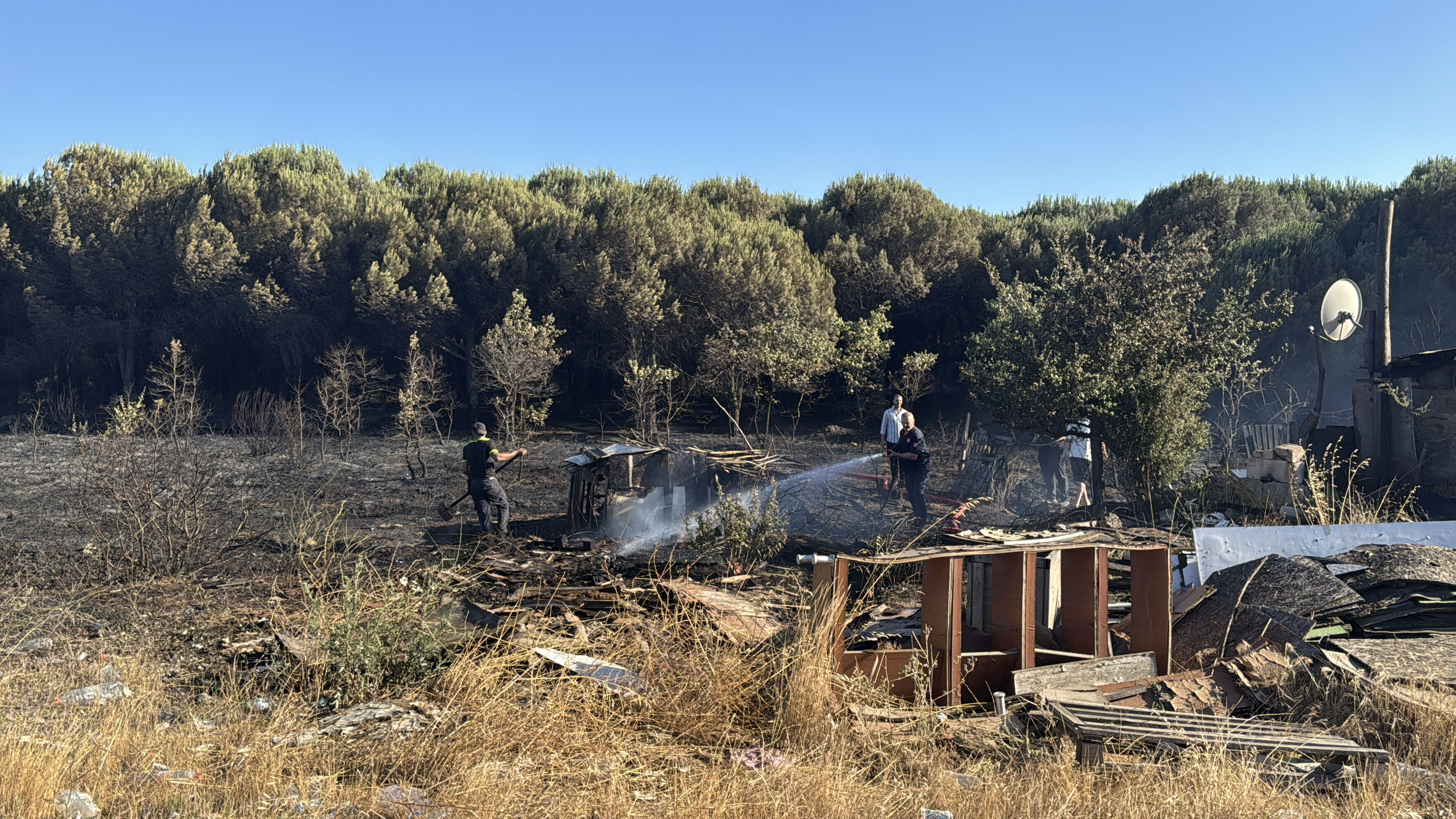 İstanbul'da felaketin eşiğinden dönüldü! Alevler kısa sürede büyüdü, ormanlık alan yanmaktan son anda kurtuldu - 1. Resim